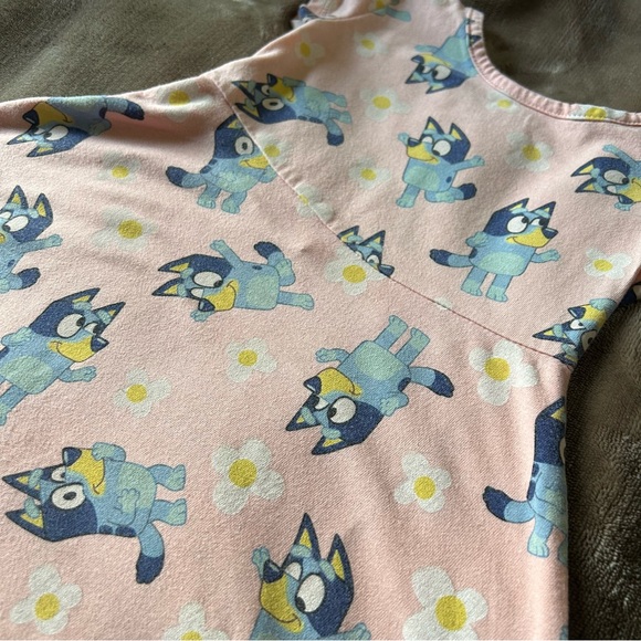 BLUEY Toddler Dress, 2T, preloved - Picture 2 of 5